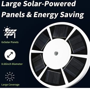 Flag Pole Solar Light